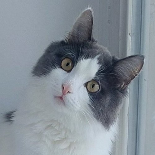 Инна, 24 февраля 2026