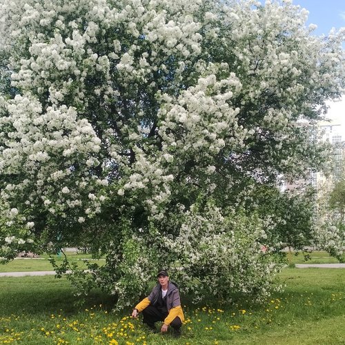 Дмитрий, 13 октября 2025