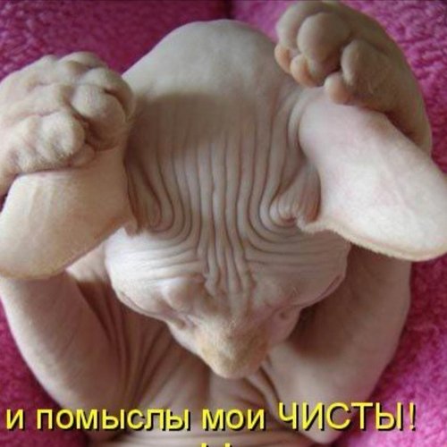 Алёна, 6 июля 2019