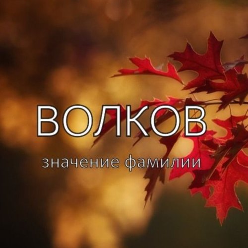 Гаджимурод, 13 февраля 2026