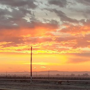 Фатима, 22 октября 2025