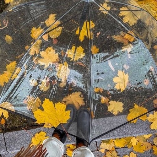 Ольга, 10 сентября 2025