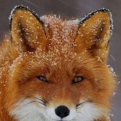 Алёна, 24 мая 2026